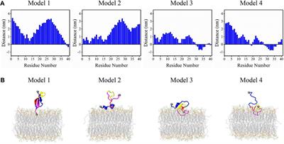 Binding mechanism of full-length Aβ40 peptide to a mixed lipid bilayer